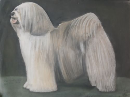 Old English Sheepdog